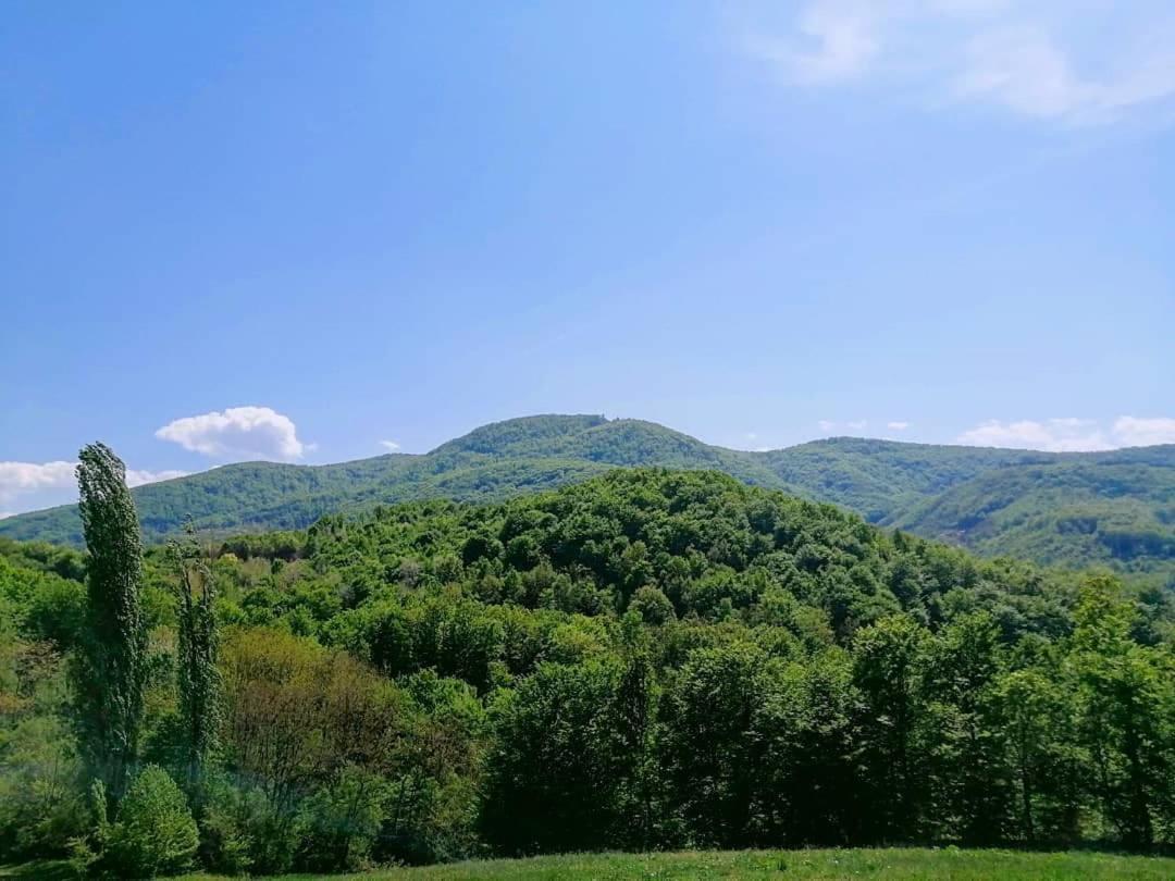 Apartman Lavanda Banja Koviljača Екстериор снимка